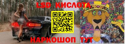 дживик Моздок
