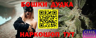 дживик Моздок