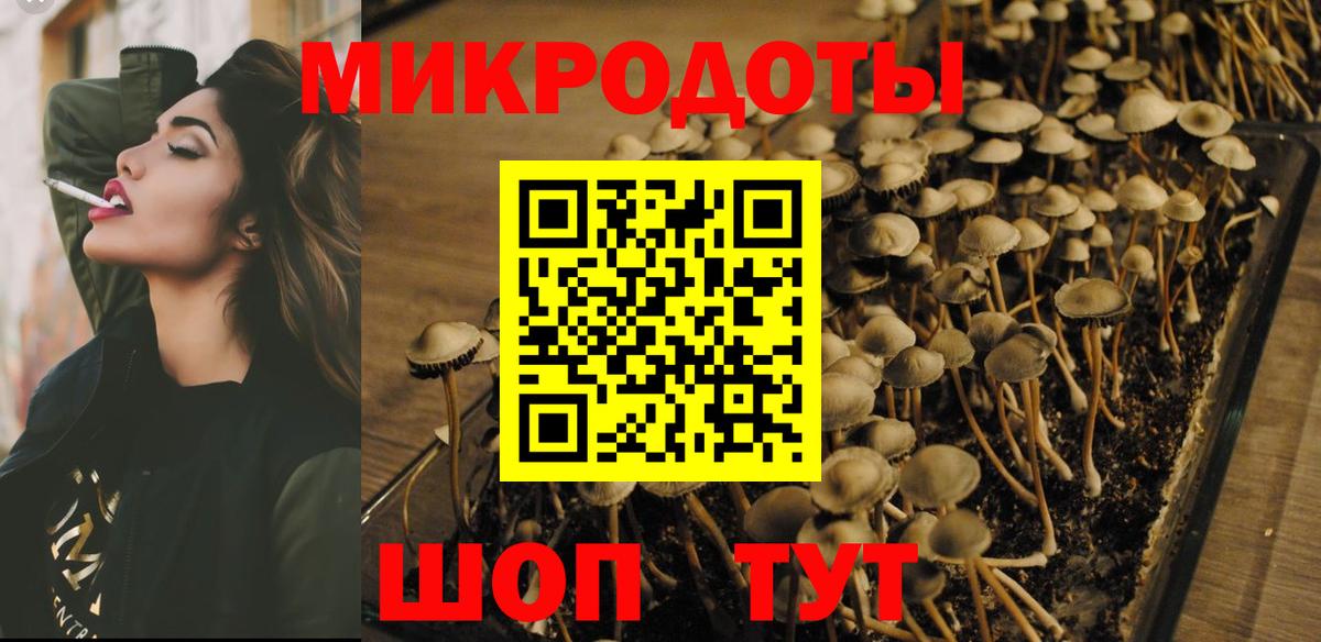 Выкса  Галлюциногенные грибы Psilocybe  продажа наркотиков  Псилоцибиновые грибы GOLDEN TEACHER  Вход с VPN 