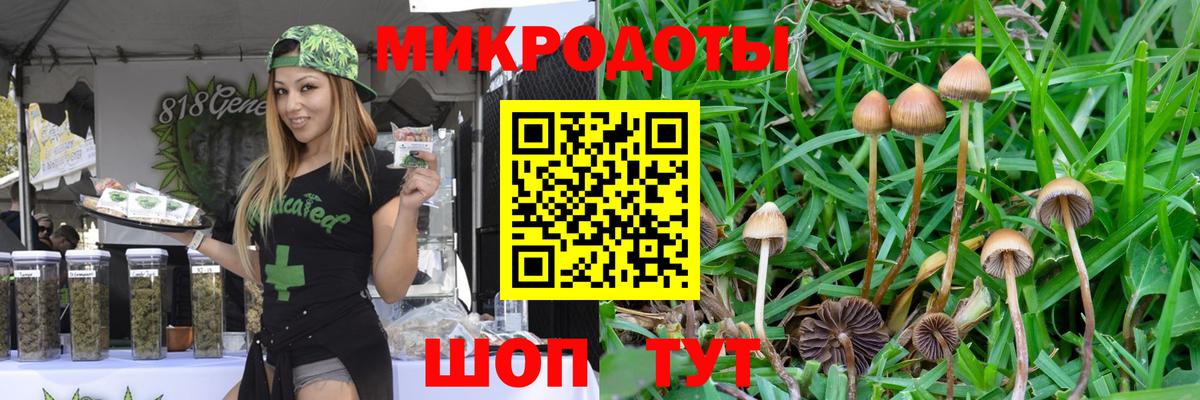 Галлюциногенные грибы GOLDEN TEACHER Выкса
